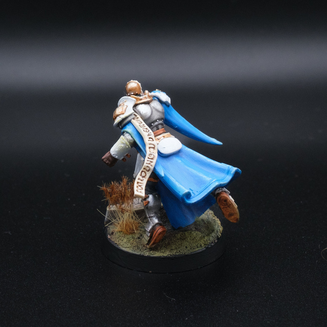 Photo of a painted Knight Incantor converted as a Blood Bowl player from behind. The player looks to be lunging or diving forward